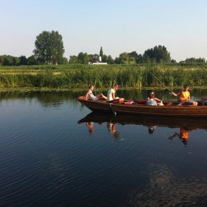 Vaar in een fluisterboot door de Biesbosch!
