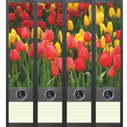 File Art ordneretiketten - Bloeiende tulpen in het veld
