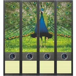 File Art ordneretiketten - Blauwe Pauw