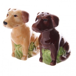 Peper en zoutstel Labrador honden